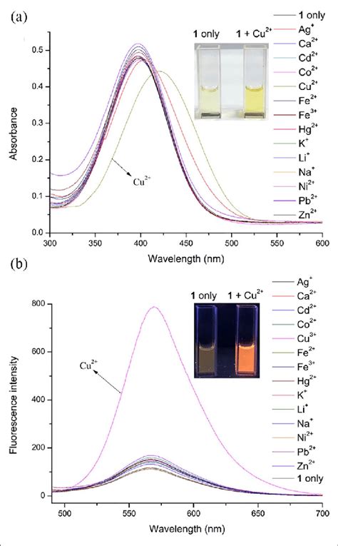 a Absorption spectra of probe 1 10 μM in DMSO Tris buffer 1 1