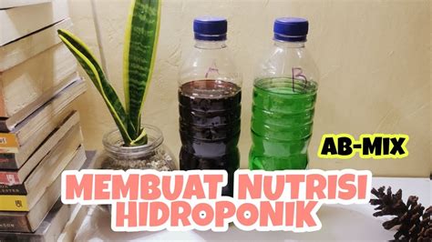 Cara Membuat Nutrisi Hidroponik Ab Mix Siap Pakai Youtube