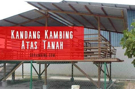 Kandang Kambing Atas Tanah · OhKambing.com