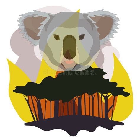 A Koala With Fire Burning Background Vector And Illustration Stock