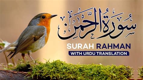 Surah Rahman With Urdu Translation Full Episode Quran Tilawat