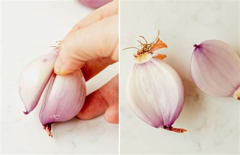 How To Cut Shallots What Molly Made