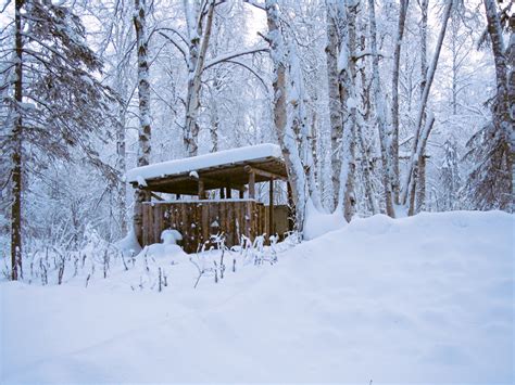 Off-Grid Cabin in Alaska