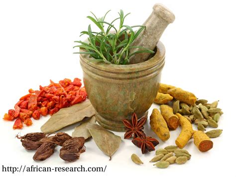 History Of Herbal Medicine In Ghana In Depth African Research Consult