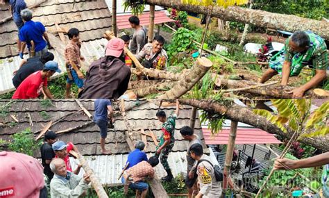 Polisi Tni Warga Gotong Royong Evakuasi Pohon Tumbang Yang Menimpa