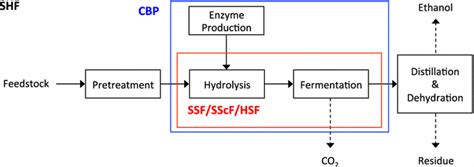 Cellulosic Ethanol Process Shf Separate Hydrolysis And Fermentation