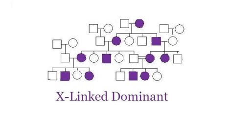 Genetic Inheritance X Linked Dominant Rett Syndrome