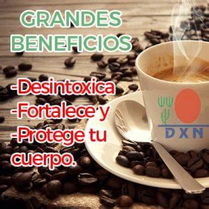 Cafe Dxn Beneficios Que Es Para Que Sirve Como Tomarlo