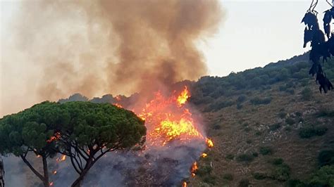 Brucia Il Vallo Di Diano Distrutti Ettari Di Macchia Mediterranea