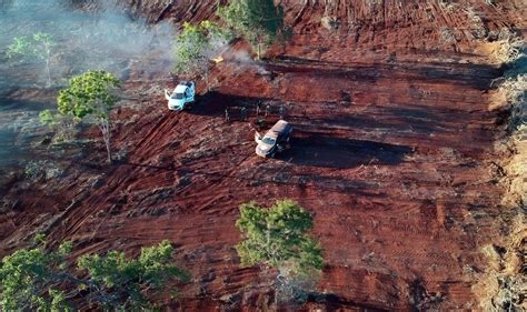 Desmatamento No Cerrado Cresce Em A Cr Tica De Campo Grande