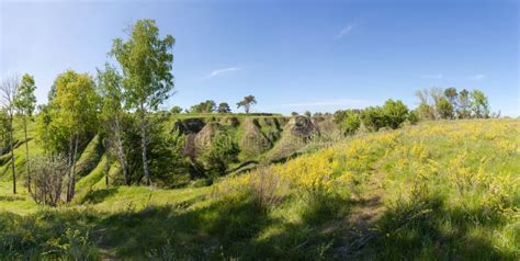 Valley With Ravines On Slope Overgrown With Single Trees Panorama