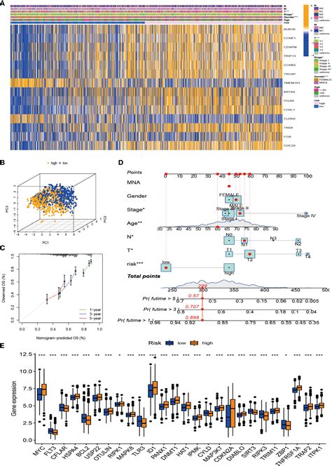 Frontiers Identification Of Molecular Subtypes Risk Signature And