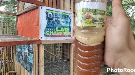 Organic Liquid Na Magpapalakas Ng Immune System Ng Ating Ibon Lalo Na