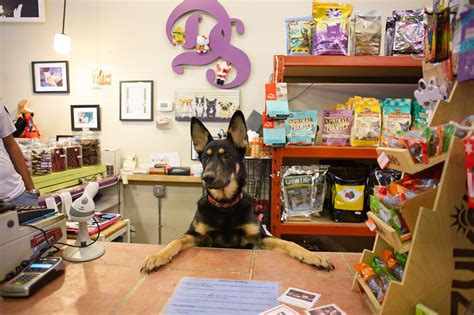Best Pet Store Sacramento At Alicia Hathaway Blog