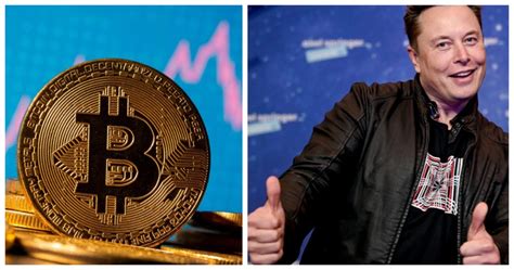 ¡increíble Elon Musk Pide Donaciones En Criptomonedas A Través De