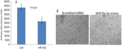 MiR 33a 5p Over Expression Reduces Lung Cancer Cell Proliferation And