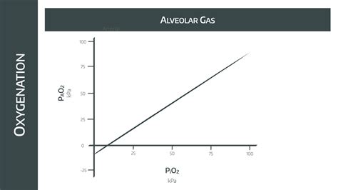 Alveolar Gas Equation