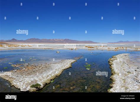 Termas De Polques Hot Springs Reserva Nacional De Fauna Andina Eduardo Abaroa Southern Bolivia