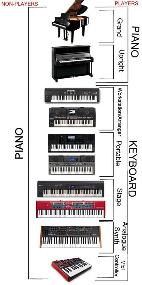 Digital Piano Vs Keyboard Vs Synth Full Comparison 2023 Atelier