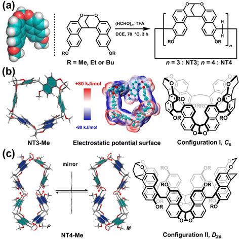 Methylene Bridged Naphthotubes New Macrocyclic Arenes With Great