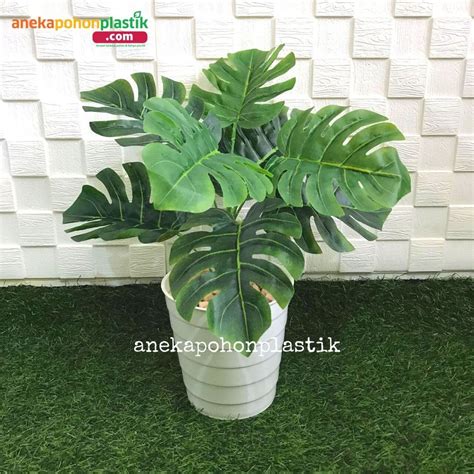 Jual Pohon Daun Monstera X Latex Artificial Pot Ulir Plastik Tanaman