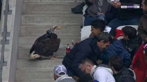 Nice Psg L Aigle Mefi A Assist La D Faite Du Club Azur En Et S Est