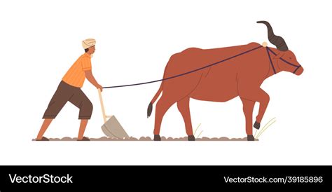 Indian Farmer Plowing With Traditional Primitive Vector Image