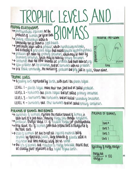 Trophic Levels And Biomass Ecology Revision Poster Aqa Gcse Biology