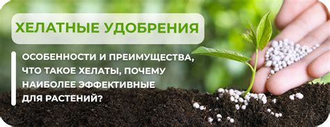 Хелатные удобрения: особенности и преимущества – что такое хелаты ...