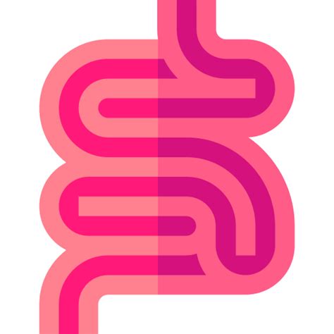 Small Intestine Basic Straight Flat Icon