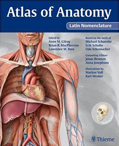 Thieme Atlas Of Anatomy Usmle Materials Updated Usmle Study Data