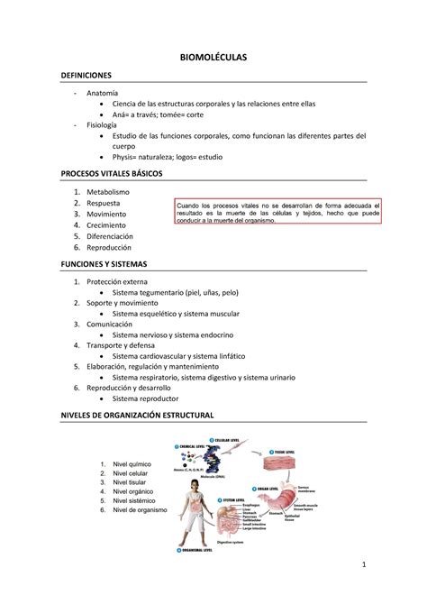 Biomoléculas tema 1 estructura BIOMOL DEFINICIONES AnatomÌa