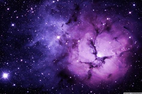 Purple Asus Wallpapers - Top Free Purple Asus Backgrounds - WallpaperAccess
