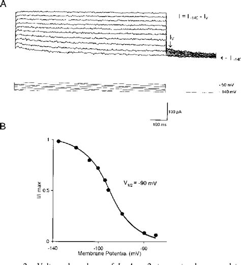 Figure From Hyperpolarization Activated Inward Current In Neurons Of