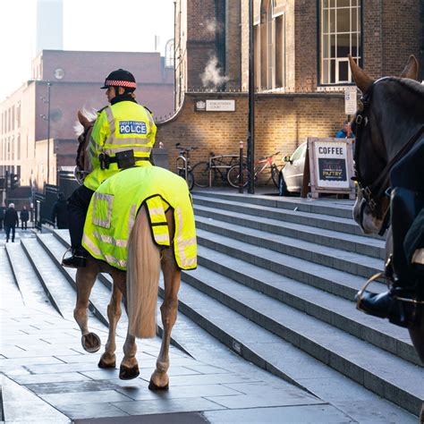 Guidance On Police Dogs And Horses Have Your Say College Of Policing