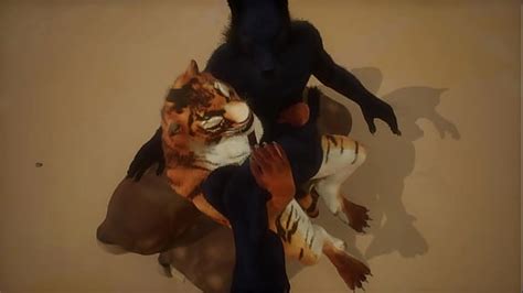 Wolf And Tiger Fuck Near There Camp Wildlife Xxx Mobile Porno Videos Movies IPornTV Net