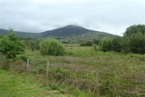 Fields Near Gelliwaen DS Pugh Geograph Britain And Ireland