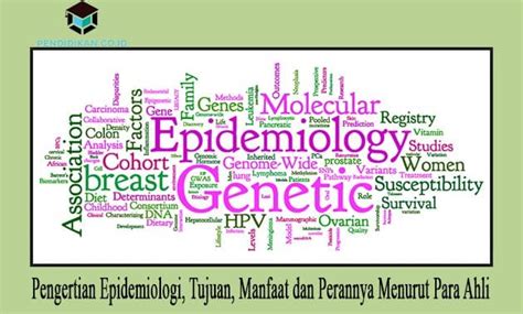 Epidemiologi Adalah Cabang Ilmu Kesehatan Yang Mempelajari Tentang