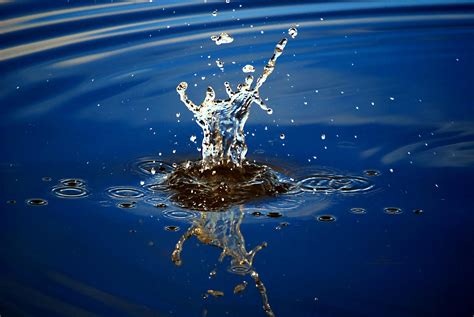 Acqua | angelomeini