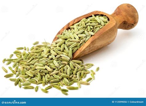 Dried Fennel Seeds in the Olive Wood Scoop, Isolated on White Stock ...