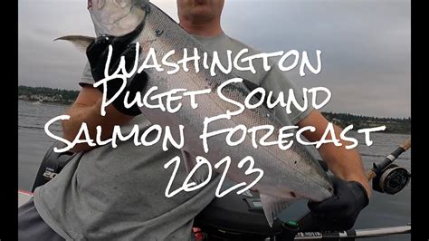 2023 Salmon Forecasts For Washington And Puget Sound YouTube