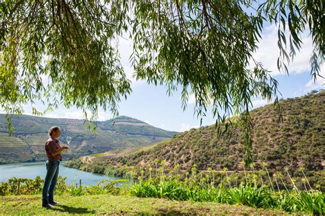 Quinta De Ventozelo Picnic Portugal By Wine Wine Tourism In Portugal