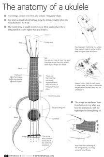 Anatomy Of A Ukulele Music Lesson Ideas Ukulele Ukulele Songs