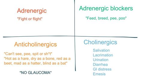 Anticholinergic Vs Cholinergic Flow Diagram Cholinergic Anti