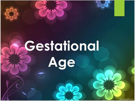 Gestational Age Assessment Of Infant Ppt