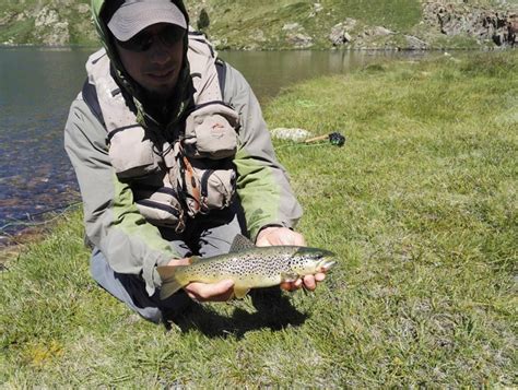 Pesca De Truchas Con Mosca En Lagos De Monta A Rodmaps