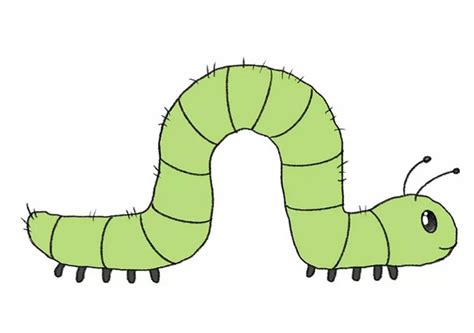 caterpillar drawing ideas   draw caterpillar diyscraftsy