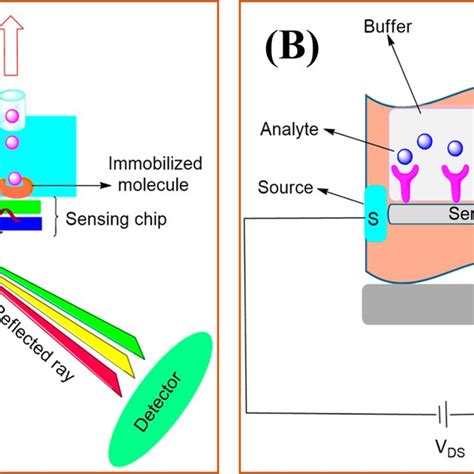 Schematic Of A Optical Biosensor And B Fet Biosensor For Detection