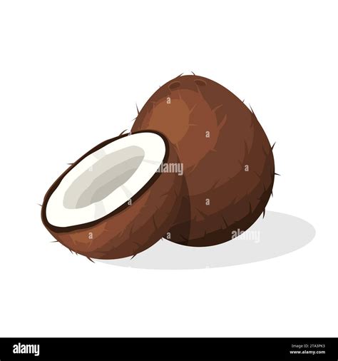 Coconut Brown Fruit Half Cut Slice Isolated On White Background Summer