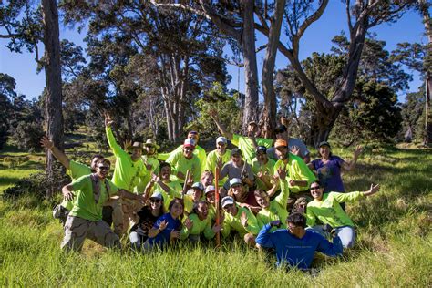 Donations Welcome Big Island Invasive Species Committee Biisc